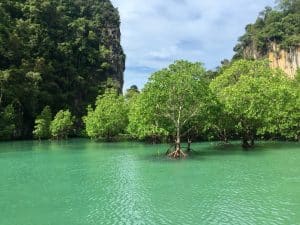 Passeios em Yao Noi, Ilha Ko Hong, Tailândia