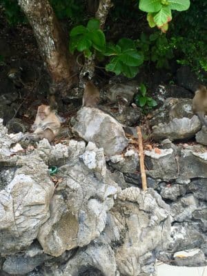 Passeios em Phi Phi, Monkey Beach, Tailândia