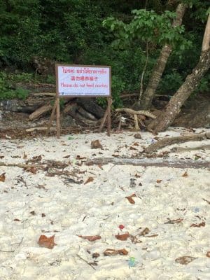 Passeios em Phi Phi, Monkey Beach, Tailândia