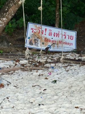 Passeios em Phi Phi, Monkey Beach, Tailândia