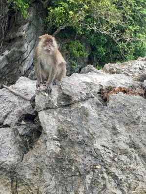 Passeios em Phi Phi, Laem Tong Beach, Tailândia