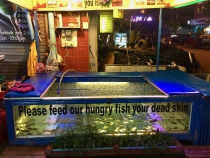 Fun fact de Siem Reap, Fish Pedicure, Camboja