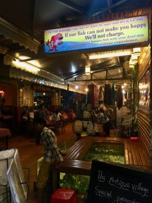 Fun fact de Siem Reap, Fish Pedicure, Camboja