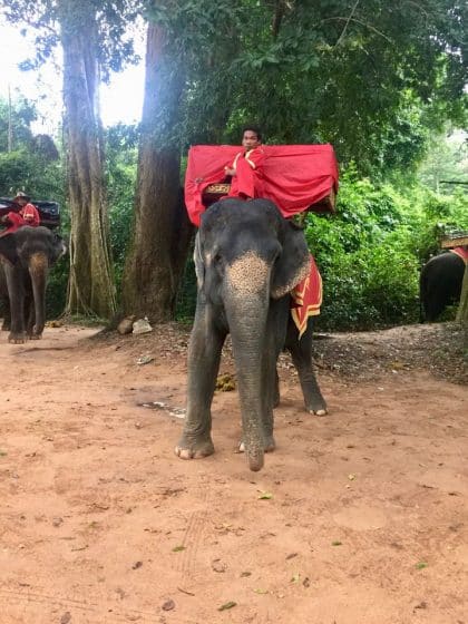 Angkor World Heritage, Império Khmer, Siem Reap, Camboja