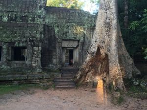 Templo Ta Prohm, The Jungle Temple, Lara Croft Tomb Raider, Siem Reap