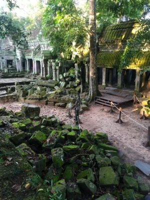 Templo Ta Prohm, The Jungle Temple, Lara Croft Tomb Raider, Siem Reap