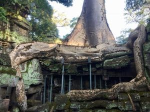 Templo Ta Prohm, The Jungle Temple, Lara Croft Tomb Raider, Siem Reap