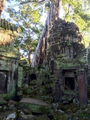 Templo Ta Prohm, The Jungle Temple, Lara Croft Tomb Raider, Siem Reap