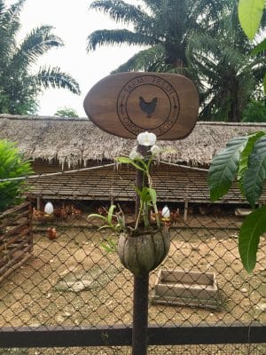 Ovos diretamente da granja no Six Senses Yao Noi, Tailândia