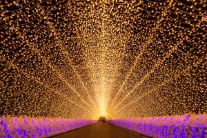 Tunnel of Lights