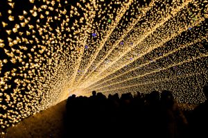 Tunnel of Lights