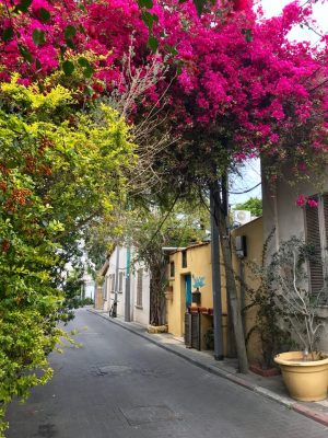 Neve Tzedek, bairro elegante de Tel-Aviv, Israel