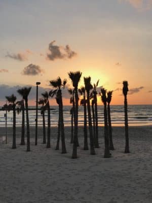 Frishman Beach, Gordo Beach, Hilton Beach, as praias de Tel-Aviv, Israel.