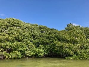 A reserva de Sian Ka’an em Tulum, México