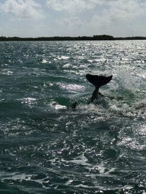 A reserva de Sian Ka’an em Tulum, México