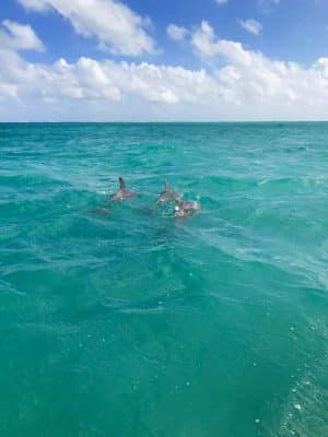 A reserva de Sian Ka’an em Tulum, México