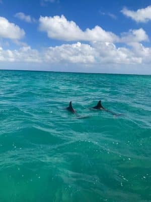 A reserva de Sian Ka’an em Tulum, México