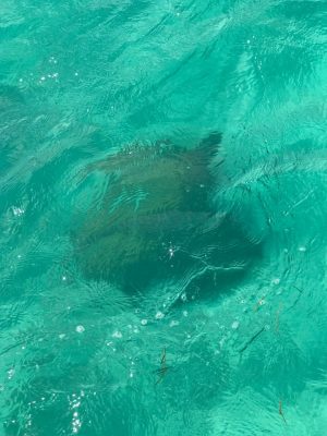 A reserva de Sian Ka’an em Tulum, México