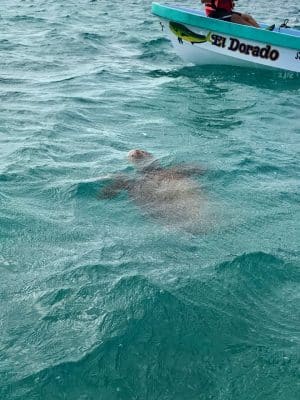 A reserva de Sian Ka’an em Tulum, México