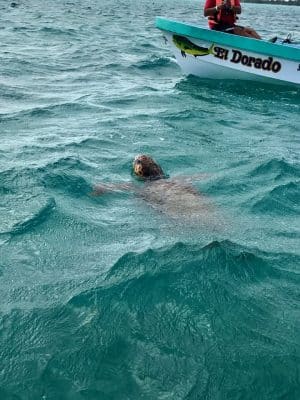 A reserva de Sian Ka’an em Tulum, México