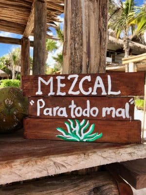 Placas divertidas em Tulum, México