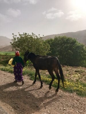 High Atlas Mountain, Marrocos