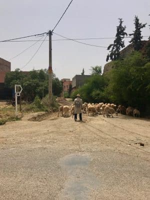 High Atlas Mountain, Marrocos