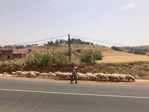 High Atlas Mountain, Marrocos