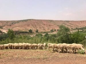 High Atlas Mountain, Marrocos