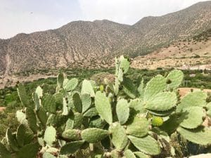 Tizi´n´Test Road, Marrocos - High Atlas