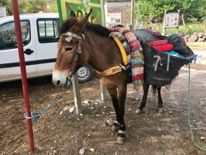 Imlil, Marrocos - Trekking - Aldeias Berberes