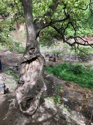 Imlil, Marrocos - Trekking - Aldeias Berberes