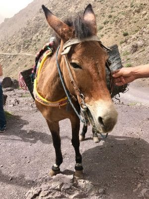 Imlil, Marrocos - Trekking - Aldeias Berberes