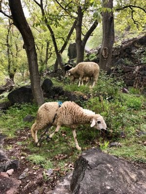 Imlil, Marrocos - Trekking - Aldeias Berberes