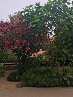 Bahia Palace - Marrakech. Marrocos