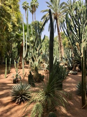 Jardin Majorelle - Marrakech. Marrocos