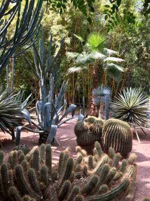 Jardin Majorelle - Marrakech. Marrocos