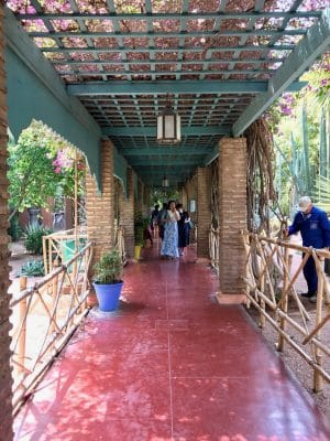 Jardin Majorelle - Marrakech. Marrocos