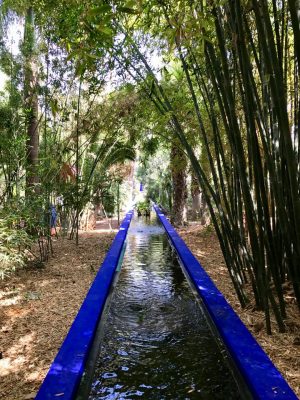 Jardin Majorelle - Marrakech. Marrocos