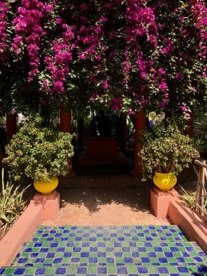 Jardin Majorelle - Marrakech. Marrocos