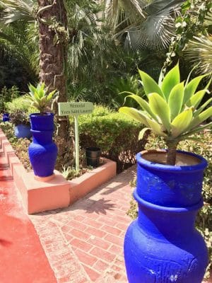 Jardin Majorelle - Marrakech. Marrocos