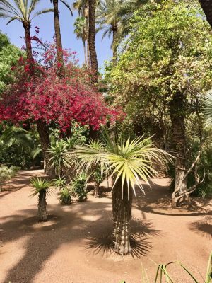 Jardin Majorelle - Marrakech. Marrocos