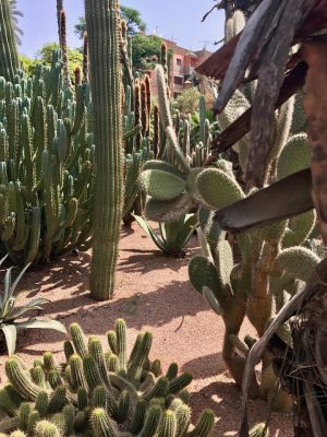 Jardin Majorelle - Marrakech. Marrocos