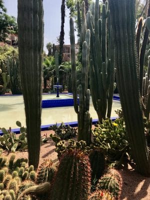 Jardin Majorelle - Marrakech. Marrocos