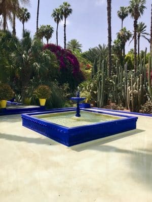 Jardin Majorelle - Marrakech. Marrocos