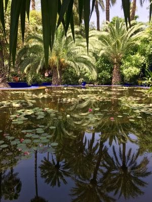 Jardin Majorelle - Marrakech. Marrocos