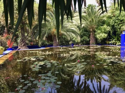 Jardin Majorelle - Marrakech. Marrocos