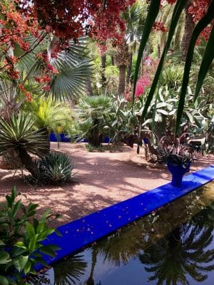 Jardin Majorelle - Marrakech. Marrocos