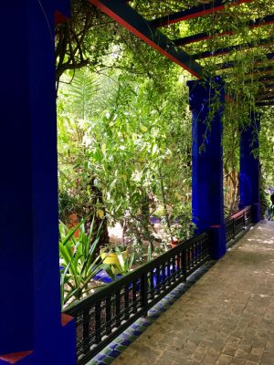 Jardin Majorelle - Marrakech. Marrocos