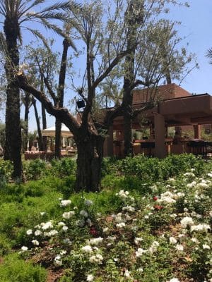 Hotel Royal Mansour - Marrakech, Marrocos